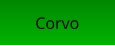 Corvo