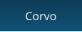 Corvo