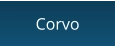 Corvo