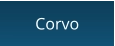Corvo